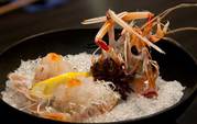 Craving For Authentic Japanese Food in Melbourne?
